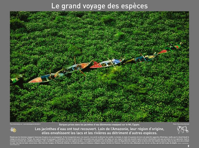P2007 10LeGrandVoyageDesEspeces 